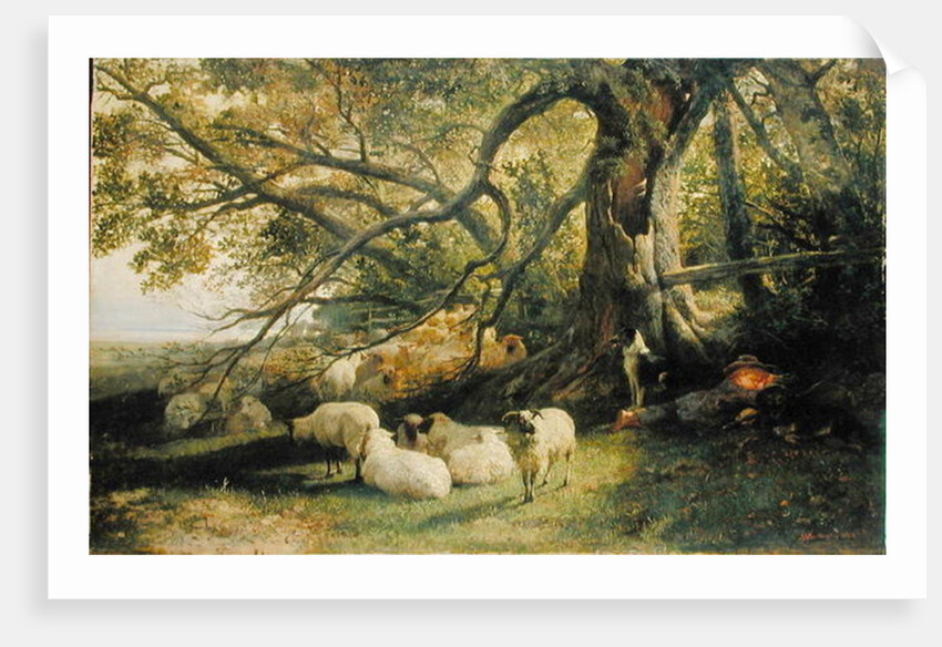 Resting Flock, 1863 by John William Bottomley