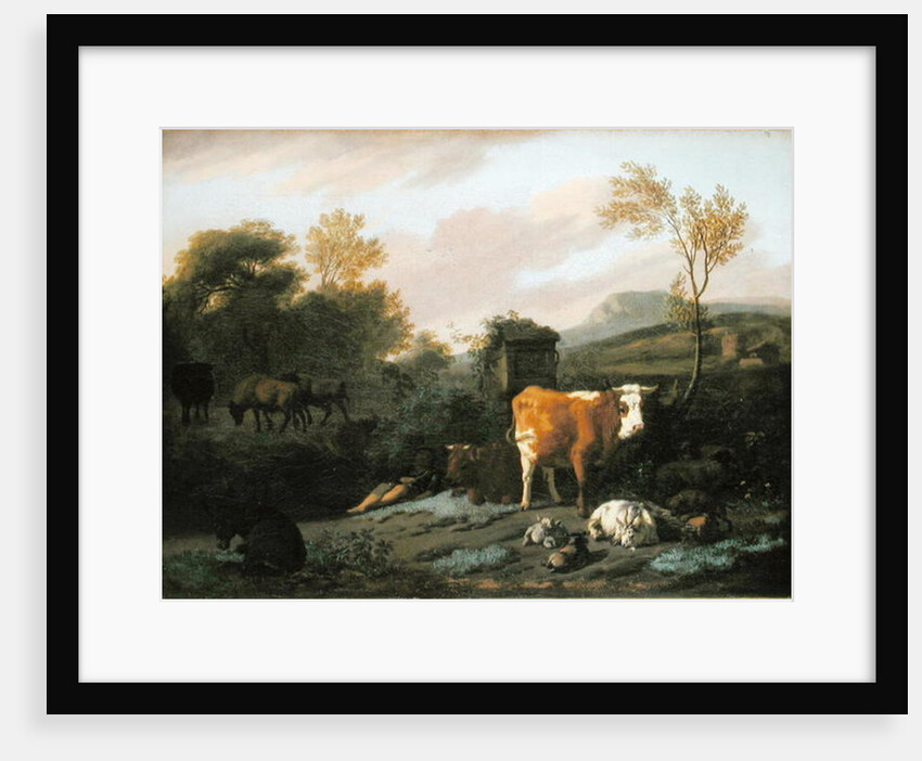 Animalia by Dirck van Bergen