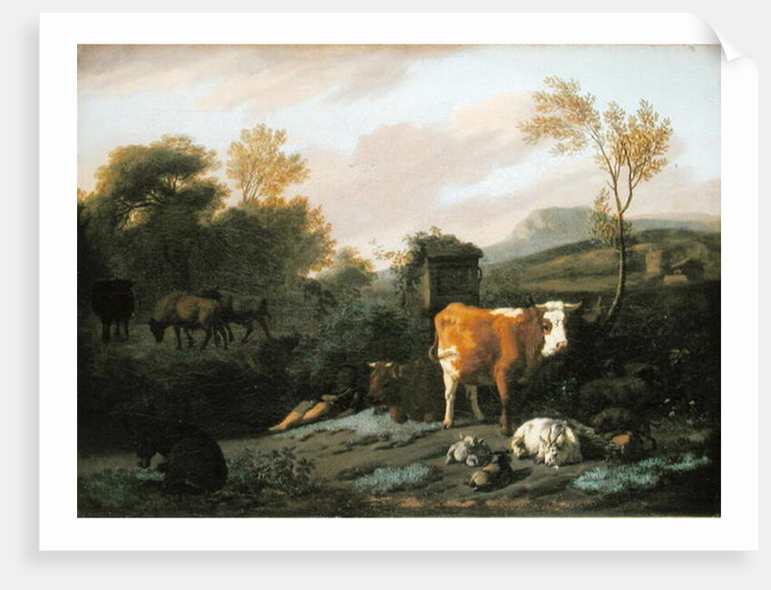 Animalia by Dirck van Bergen