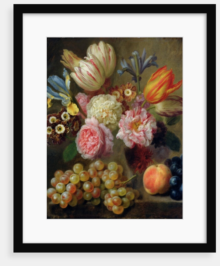 Flower Study by Balthasar Denner