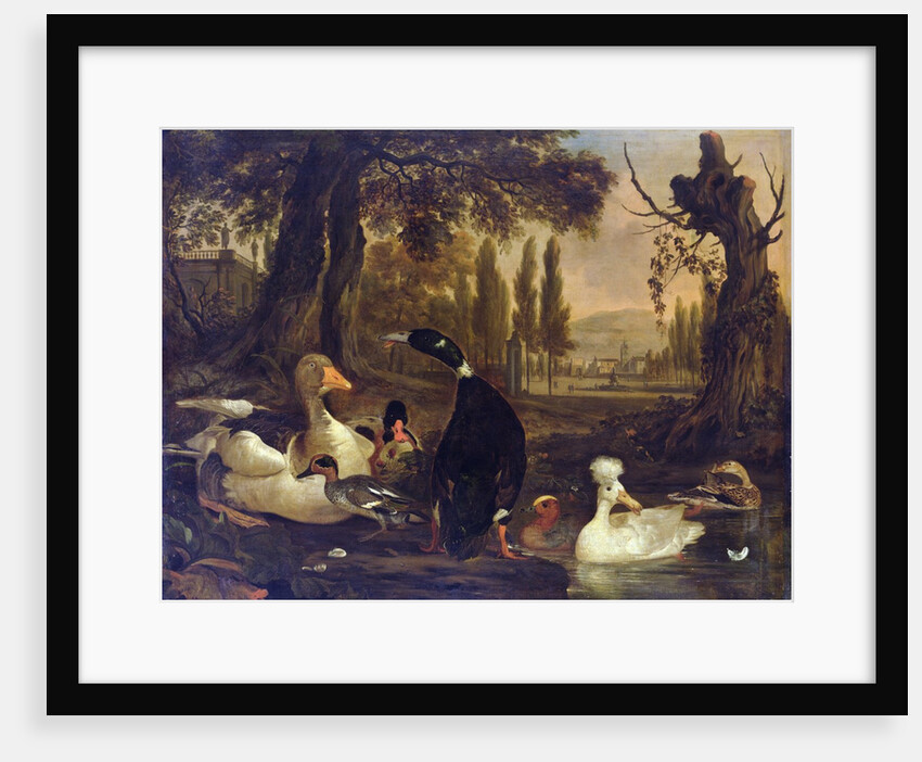 Water Birds by Dirck Wyntrack