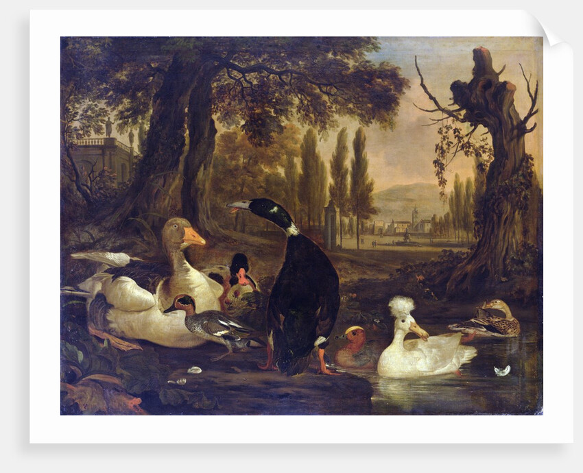 Water Birds by Dirck Wyntrack