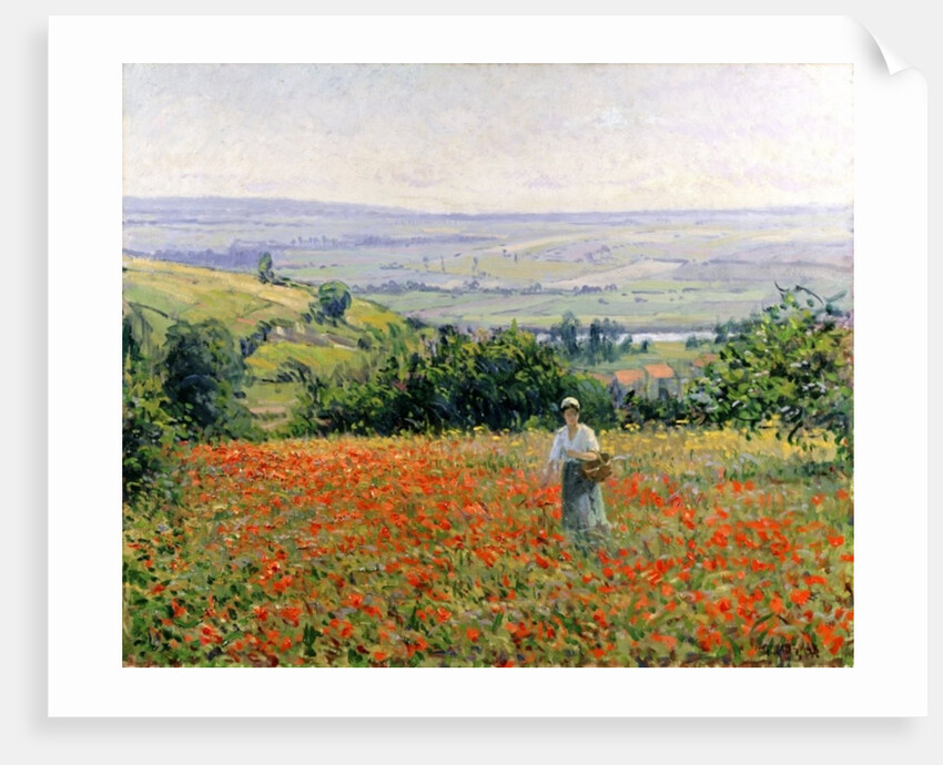 Woman in a Poppy Field by Leon Giran-Max