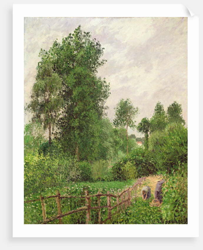 Paysage, temps gris a Eragny, 1899 by Camille Pissarro