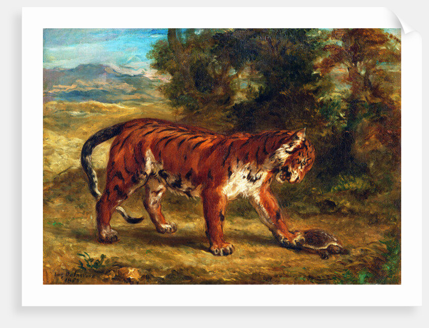 Tiger with Tortoise, 1862 by Ferdinand Victor Eugene Delacroix
