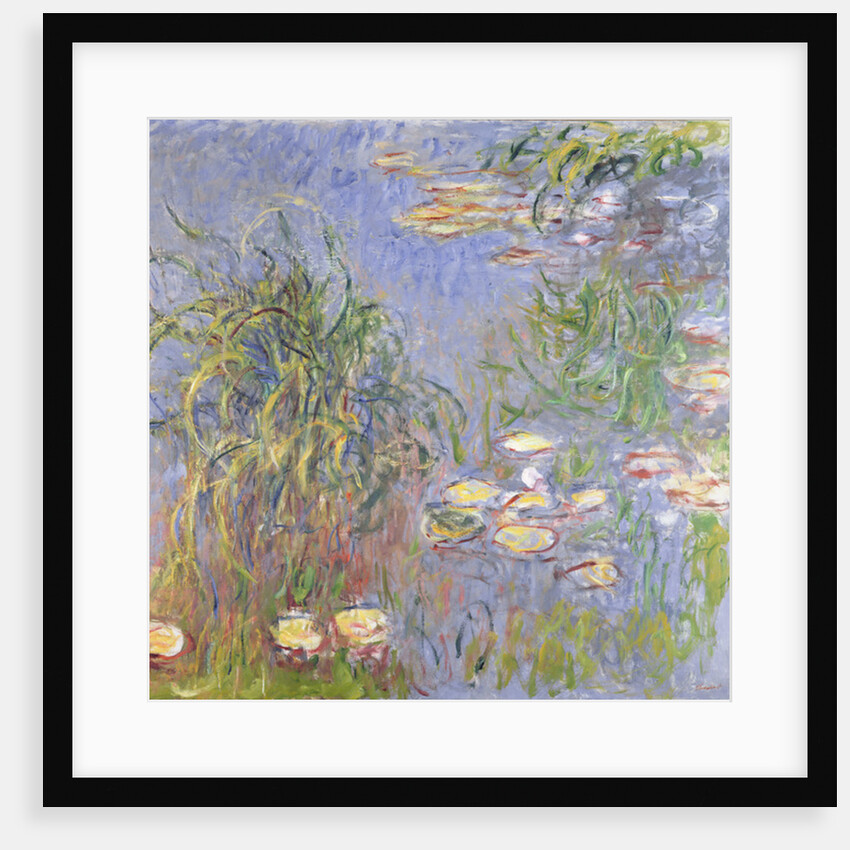 Water-Lilies, Cluster of Grass, 1914-17 by Claude Monet