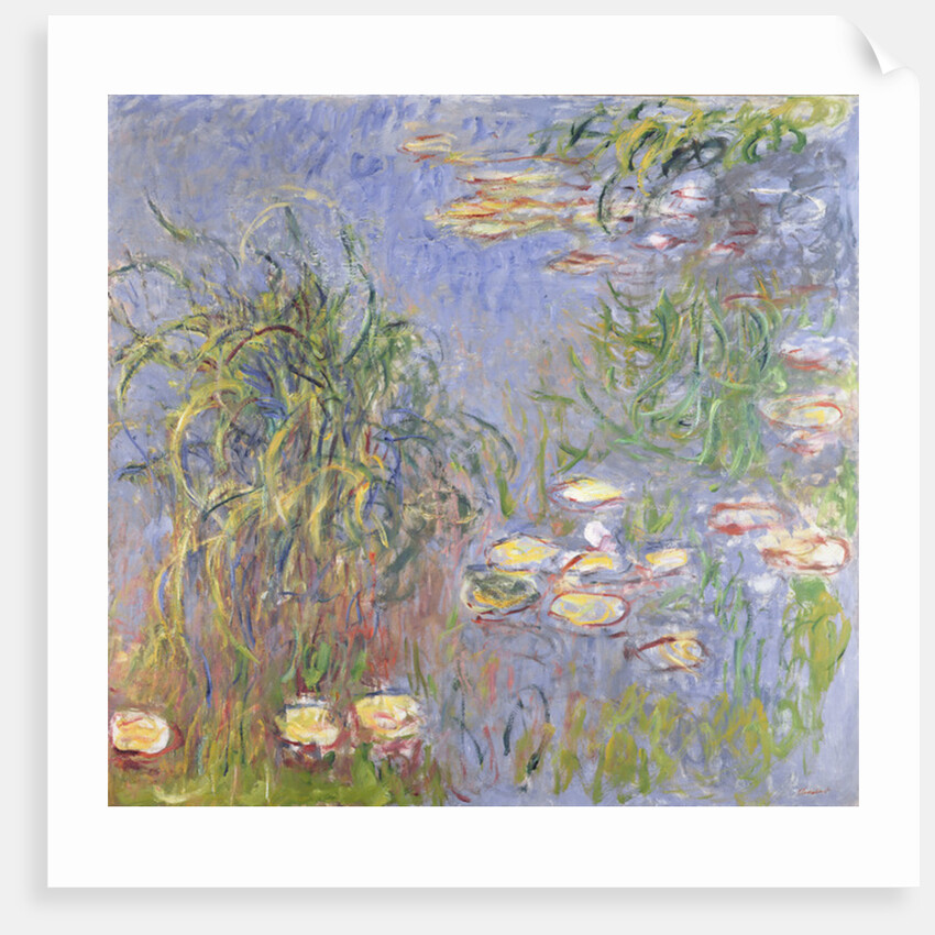 Water-Lilies, Cluster of Grass, 1914-17 by Claude Monet