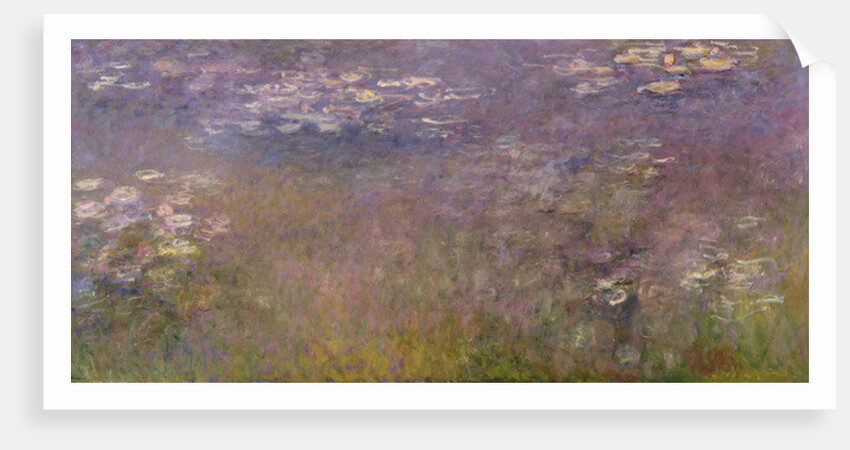 Water Lilies c.1915-26 by Claude Monet