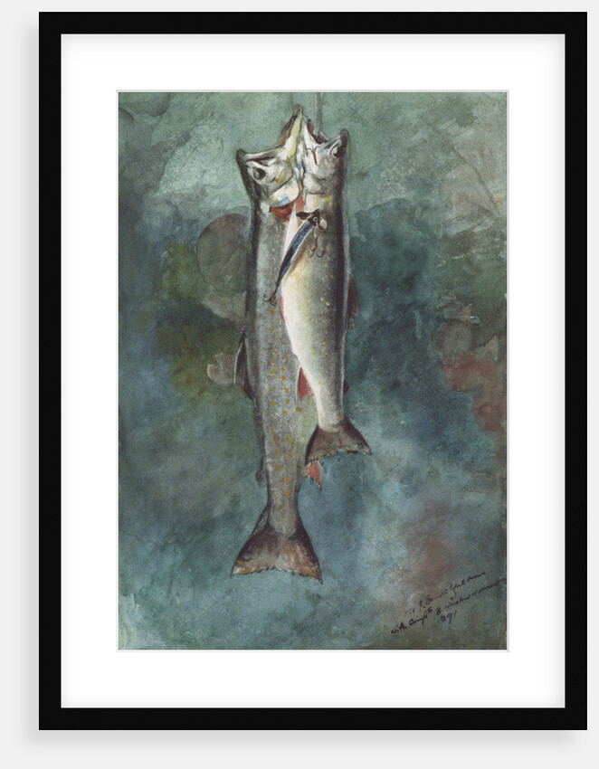Two Trout, 1891 by Winslow Homer