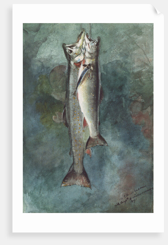 Two Trout, 1891 by Winslow Homer