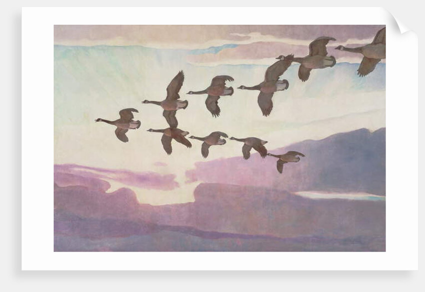 Canada Geese in Spring, 1941 by Newell Convers Wyeth