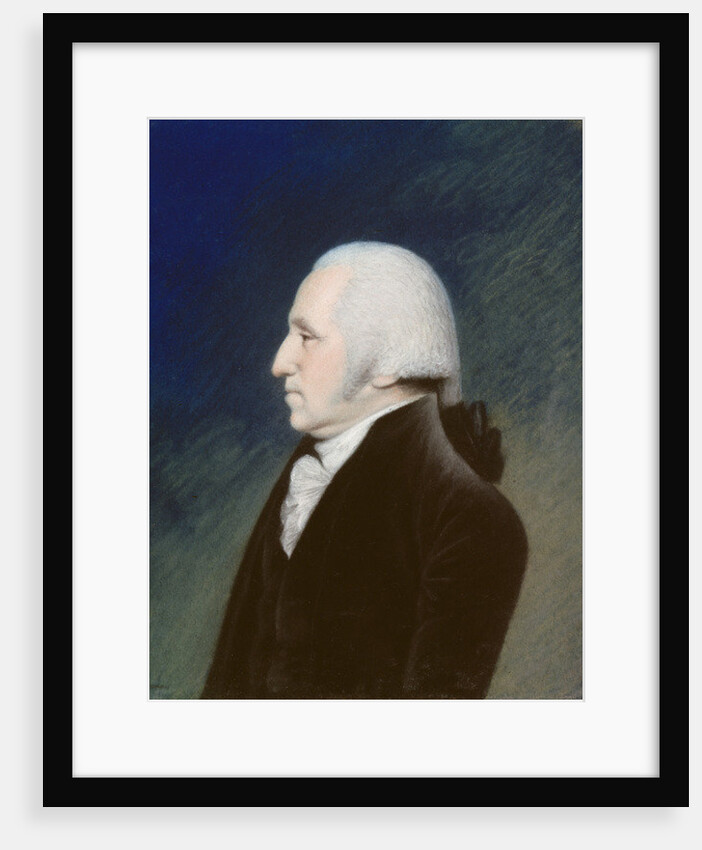 George Washington, 1795 by James Sharples