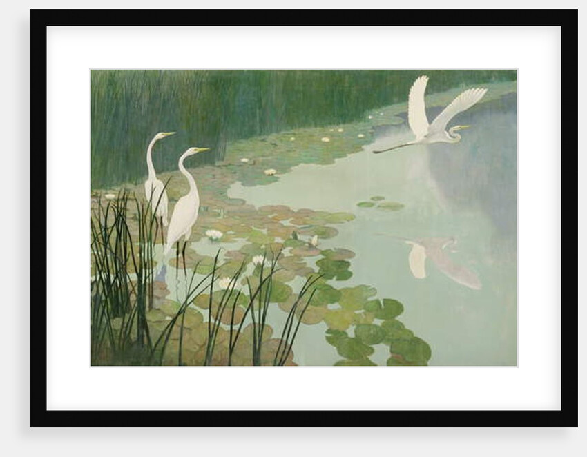 Herons in Summer, 1941 by Newell Convers Wyeth