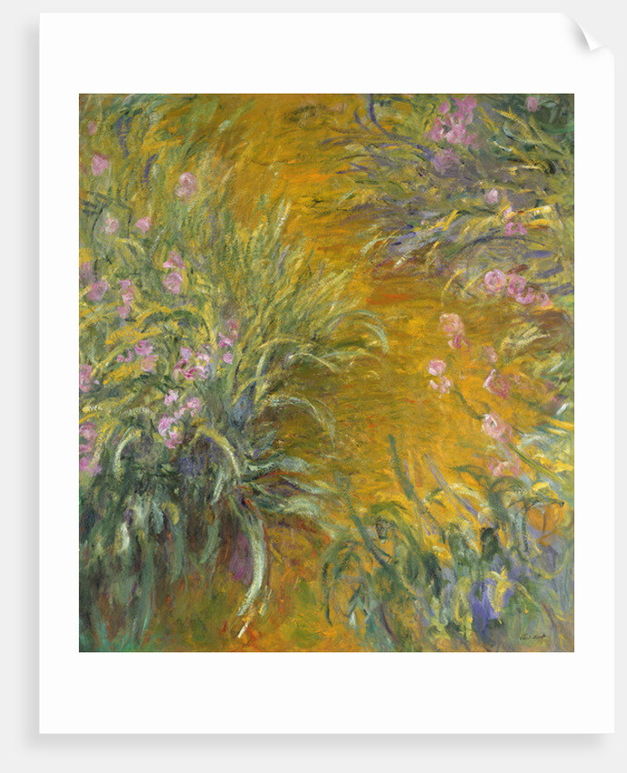 The Path through the Irises, 1914–17 by Claude Monet