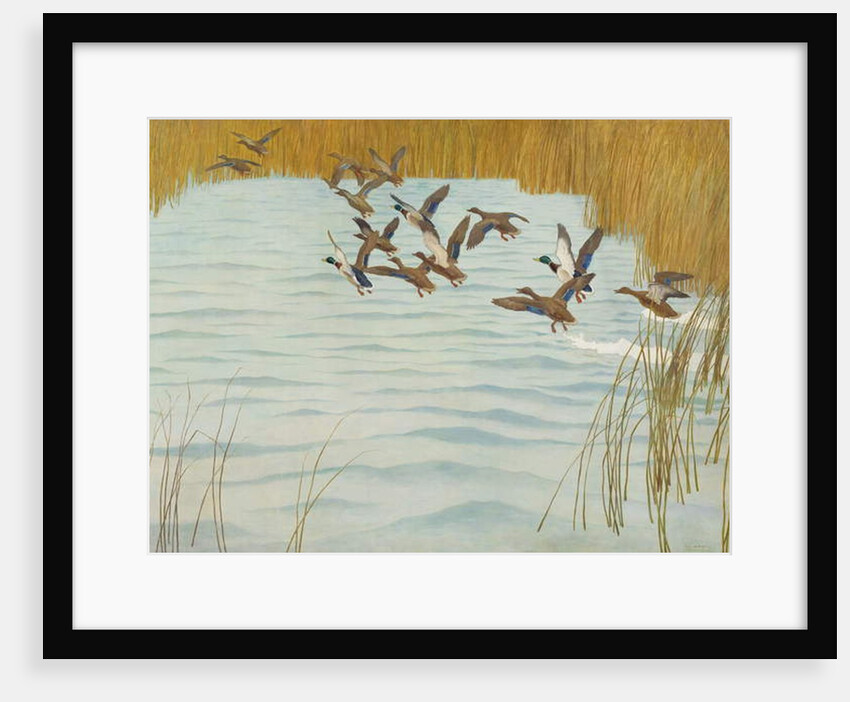 Mallards in Autumn, 1941 by Newell Convers Wyeth