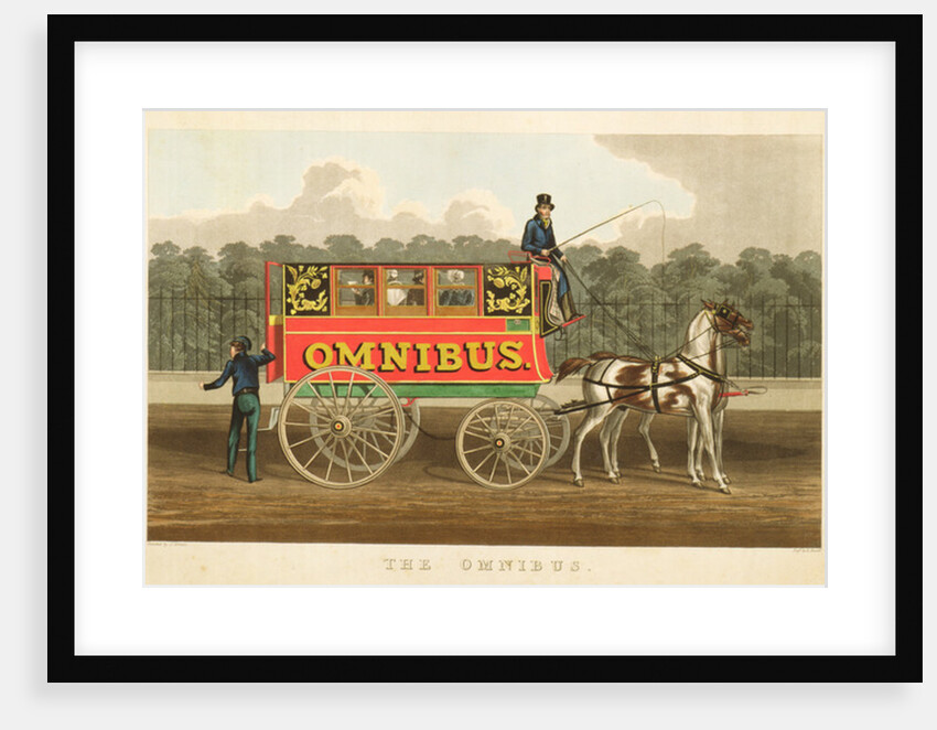 The Omnibus by J. Arnull