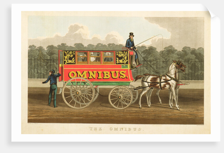 The Omnibus by J. Arnull