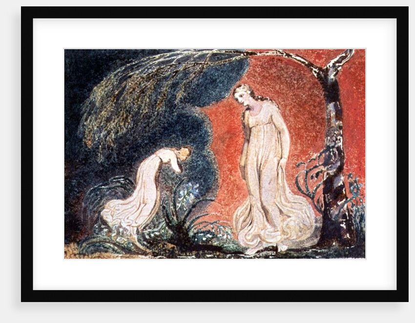 Book of Thel; the Lily bowing before Thel, before going off 'to mind her numerous charge among the verdant grass', 1789 by William Blake