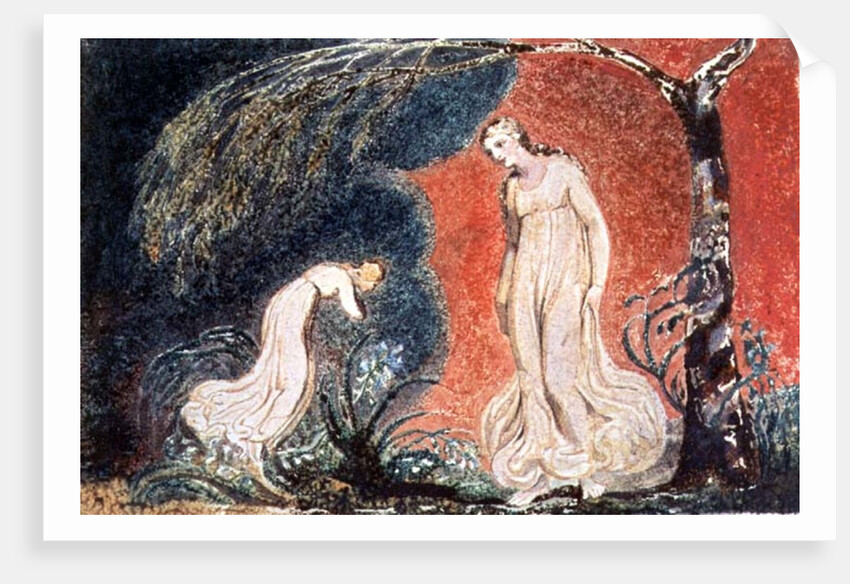 Book of Thel; the Lily bowing before Thel, before going off 'to mind her numerous charge among the verdant grass', 1789 by William Blake