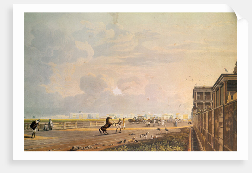View of Esplanade Row from the Chouringhee Road, Calcutta by James Baillie (after) Fraser