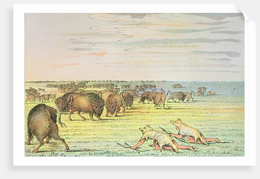 Stalking buffalo by George Catlin