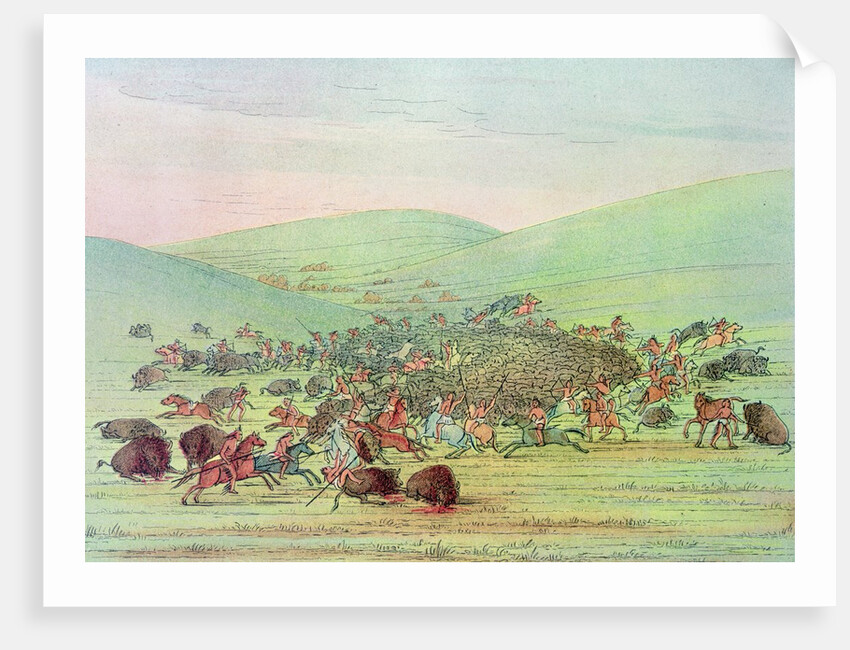 Minatarees attacking buffalo on horseback by George Catlin