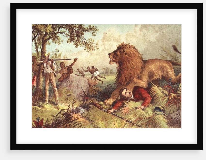 Livingstone attacked by the Lion by Anonymous