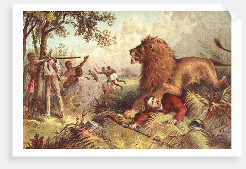 Livingstone attacked by the Lion by Anonymous