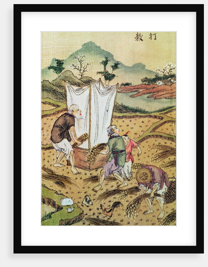 The Story of Rice by School Chinese