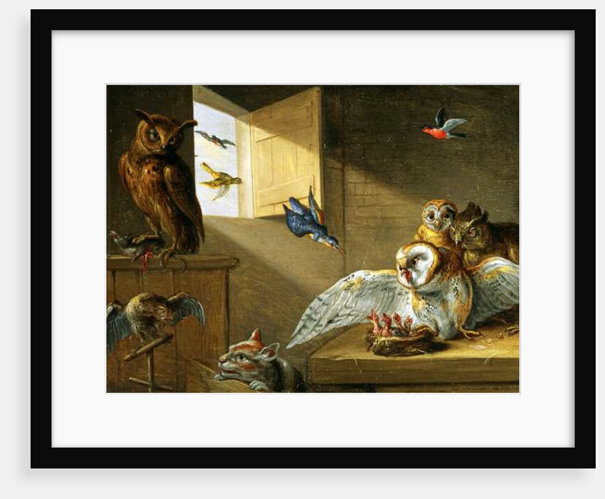 A Family of Owls, other Birds and a Cat by Jan van the Elder Kessel