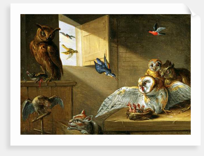 A Family of Owls, other Birds and a Cat by Jan van the Elder Kessel