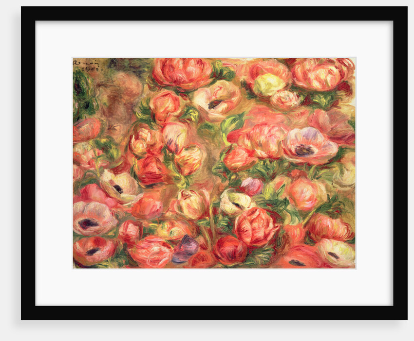Bed of anemones, 1901 by Pierre Auguste Renoir