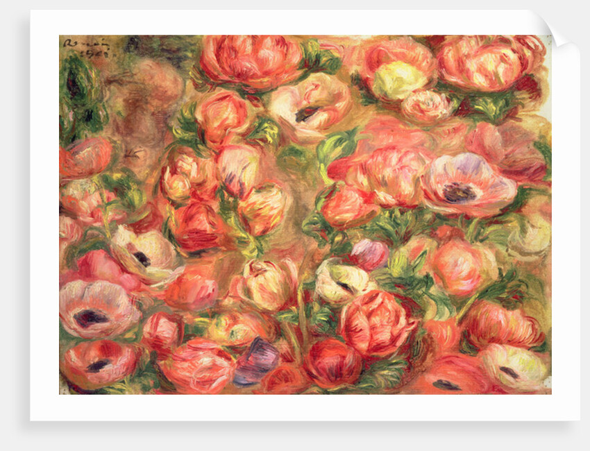 Bed of anemones, 1901 by Pierre Auguste Renoir