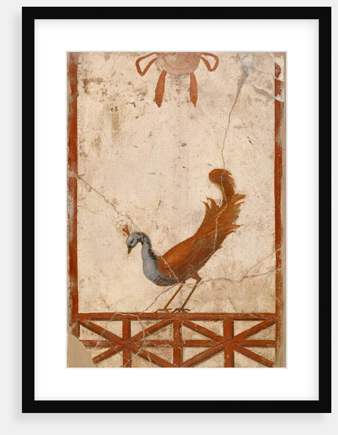 Wall Fragment with Peacock, 1st century by Roman