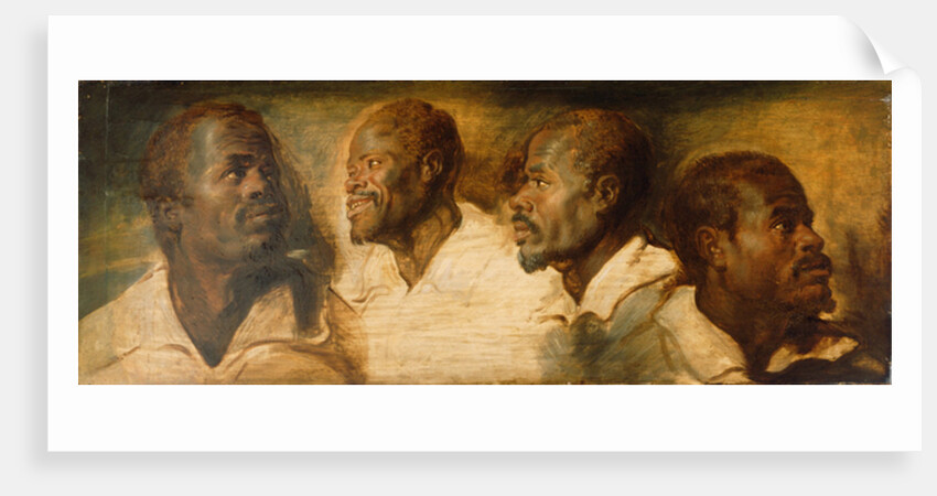Four Studies of Male Head, c.1617-1620 by Peter Paul Rubens