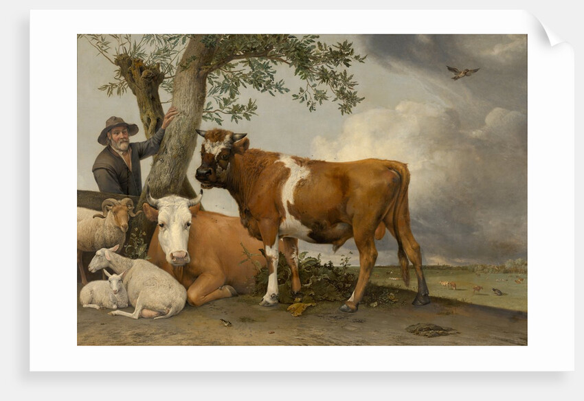 The Bull, 1647 by Paulus Potter