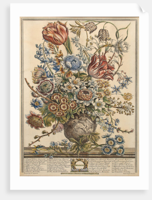 March by Pieter (after) Casteels