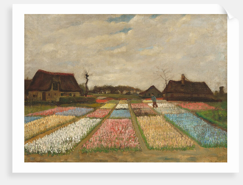 Flower Beds in Holland, c.1883 by Vincent van Gogh