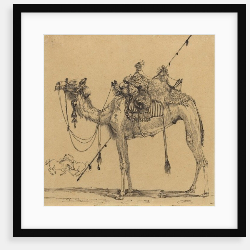 The Camel by Rodolphe Bresdin