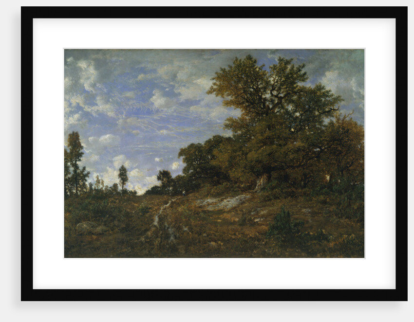 The Edge of the Woods at Monts-Girard, Fontainebleau Forest, 1852-54 by Theodore Rousseau