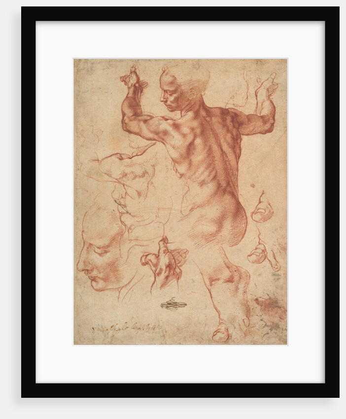 Studies for the Libyan Sibyl, c.1510-11 by Michelangelo Buonarroti