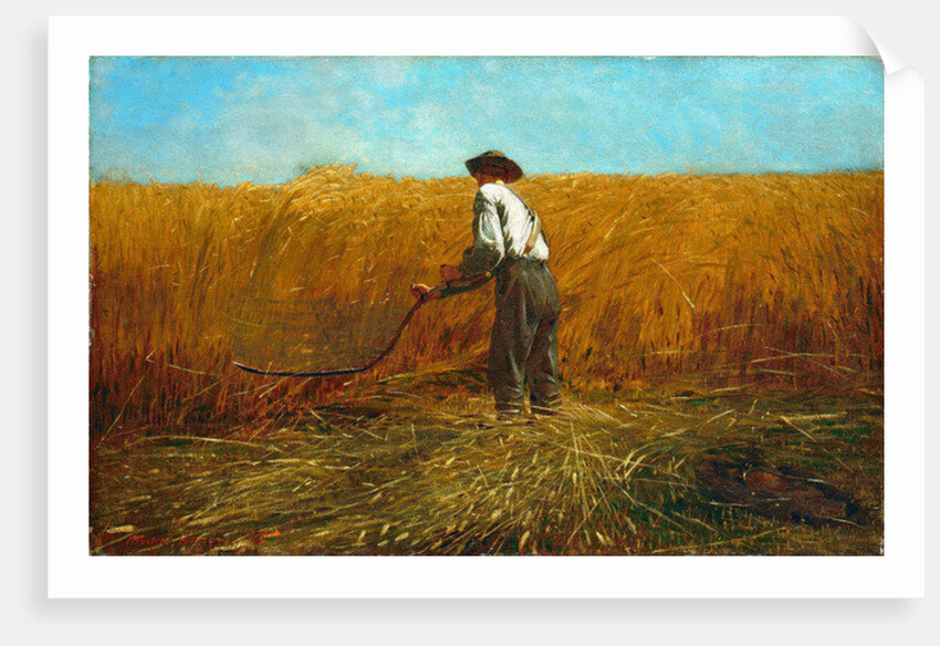 The Veteran in a New Field, 1865 by Winslow Homer