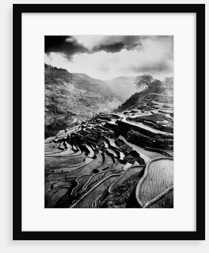 Rice terraces carved out of the hillsides hundreds of years ago by Ifuago farmers, Philippine Islands, c.1890-1923 by Anonymous