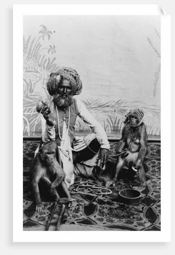 India, Fakir with monkeys, c.1890-1925 by Anonymous