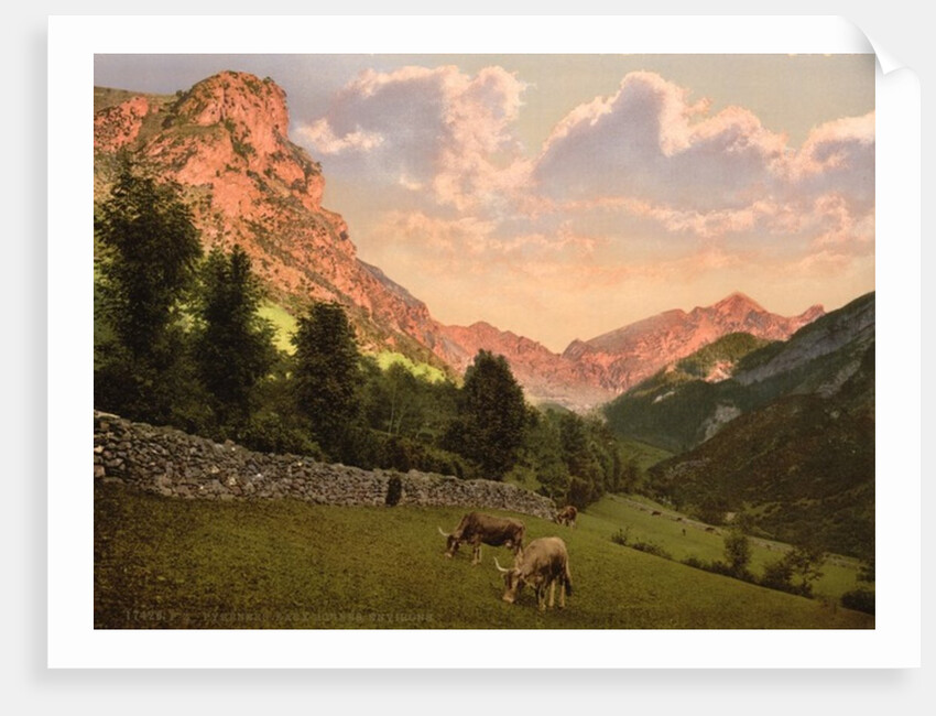 The suburbs, Eaux Bonnes, Pyrenees, France, c.1890-c.1900 by Anonymous