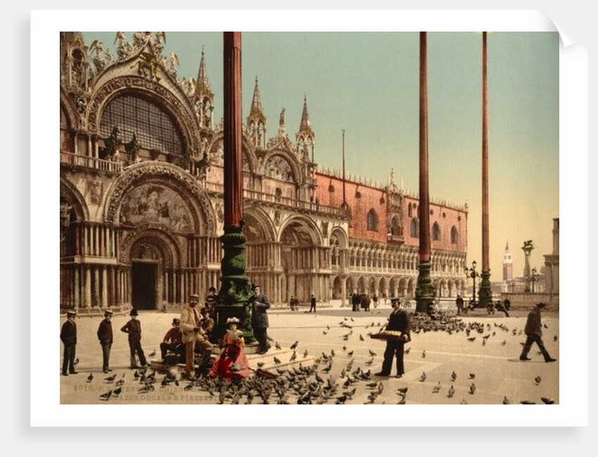 Pigeons in St. Mark's Place, Venice, Italy, c.1890-c.1900 by Anonymous