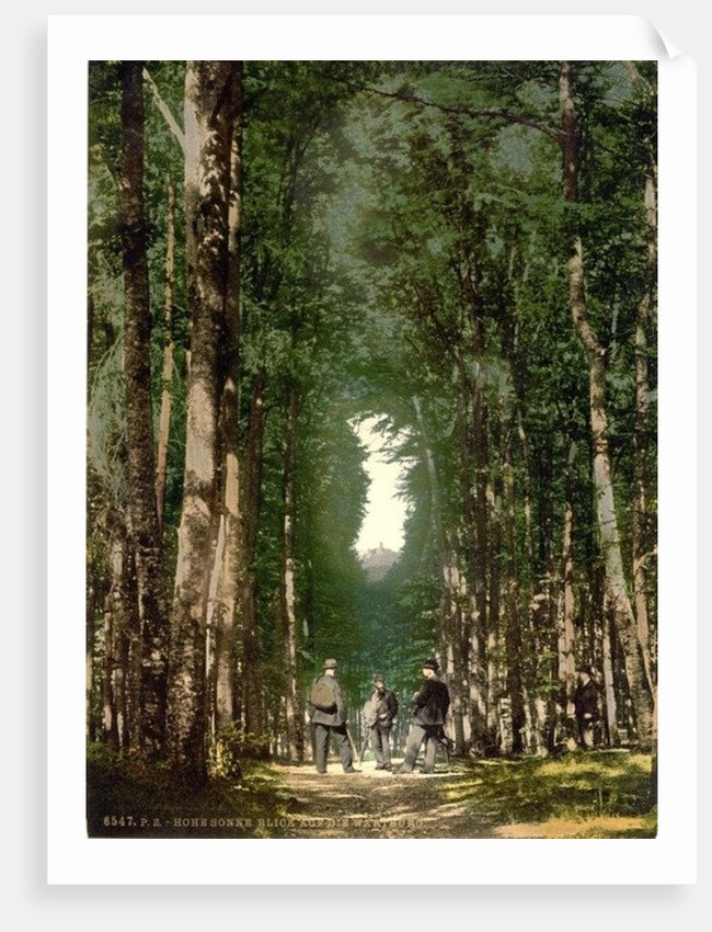 Hohesonne and view of the Wartburg, Wartburg, Thuringia, German, c.1890-c.1900 by Anonymous