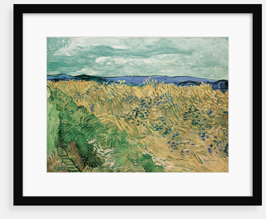 Wheatfield with Cornflowers, 1890 by Vincent van Gogh