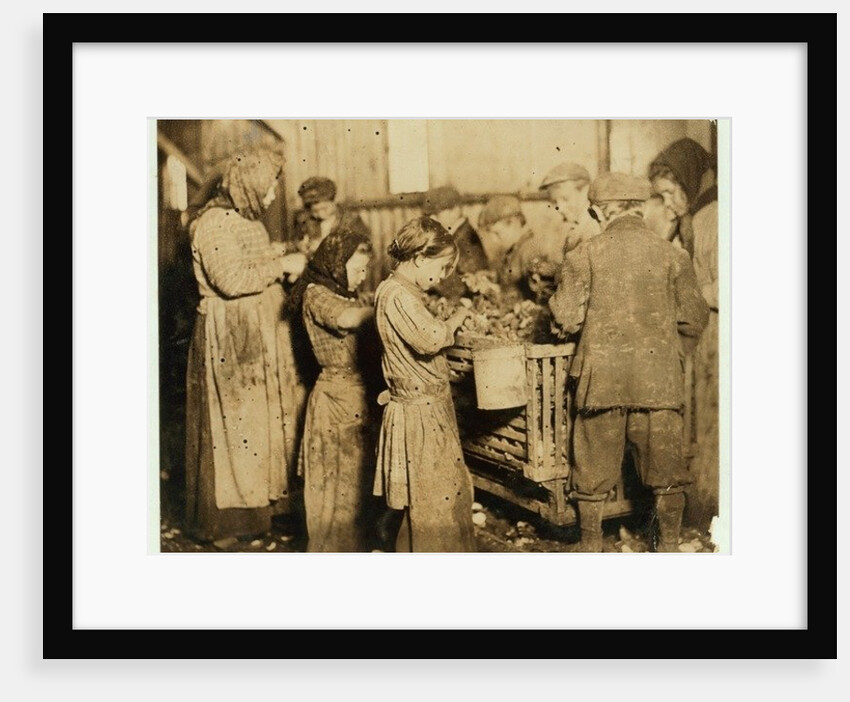 Shuckers aged about 10 opening oysters in the Varn & Platt Canning Company, Younges Island, South Carolina, 1913 by Lewis Wickes Hine
