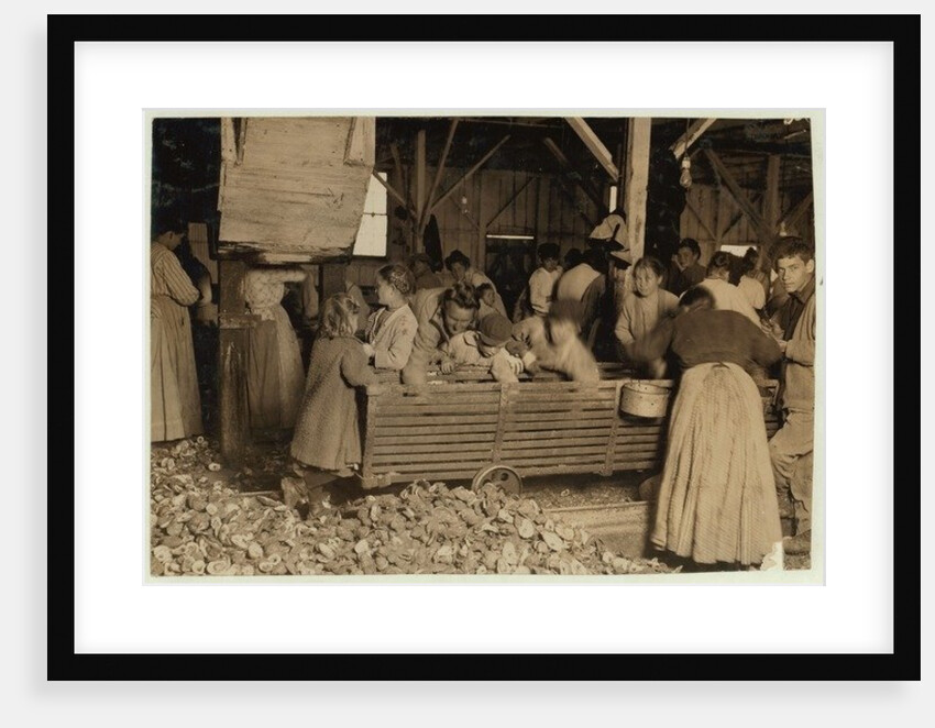 Bill May, aged 5 who makes 15 cents a day, in the shucking shed at Barataria Canning Company, Biloxi, Mississippi, 1911 by Lewis Wickes Hine
